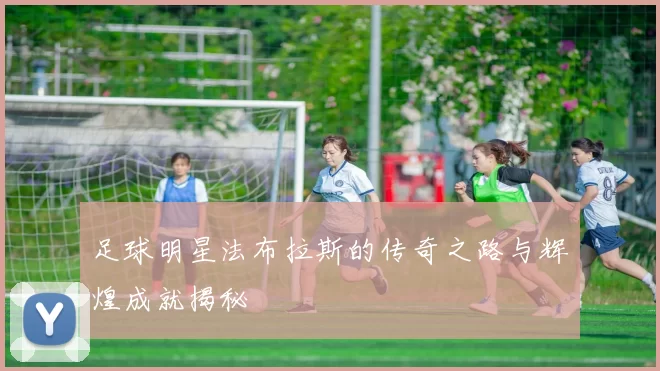 足球明星法布拉斯的传奇之路与辉煌成就揭秘
