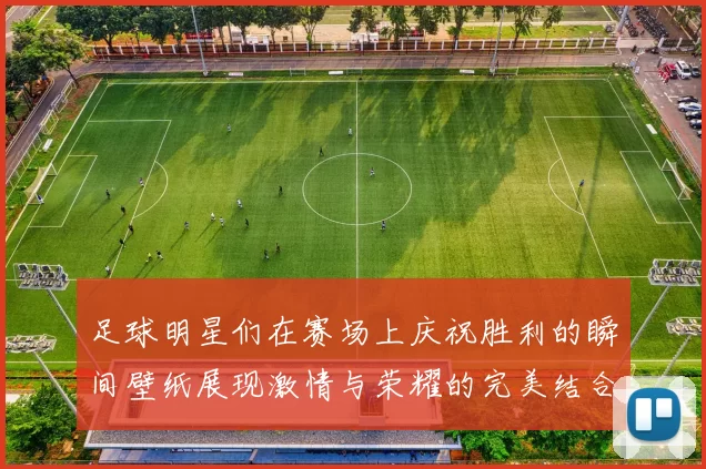 足球明星们在赛场上庆祝胜利的瞬间壁纸展现激情与荣耀的完美结合