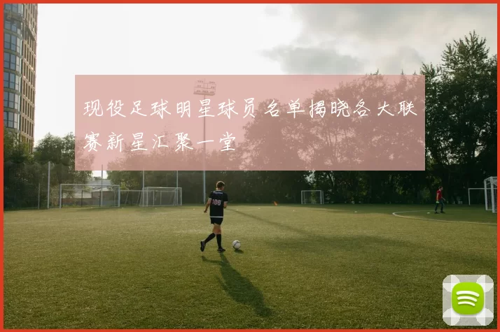 现役足球明星球员名单揭晓各大联赛新星汇聚一堂