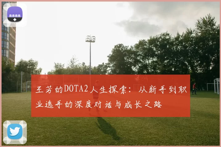 王芳的DOTA2人生探索：从新手到职业选手的深度对话与成长之路