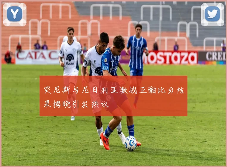 突尼斯与尼日利亚激战正酣比分结果揭晓引发热议