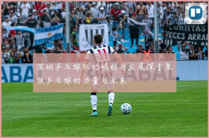 深圳乒乓球队的崛起与发展探索聚焦乒乓球的力量与未来