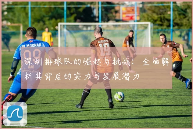 深圳排球队的崛起与挑战：全面解析其背后的实力与发展潜力