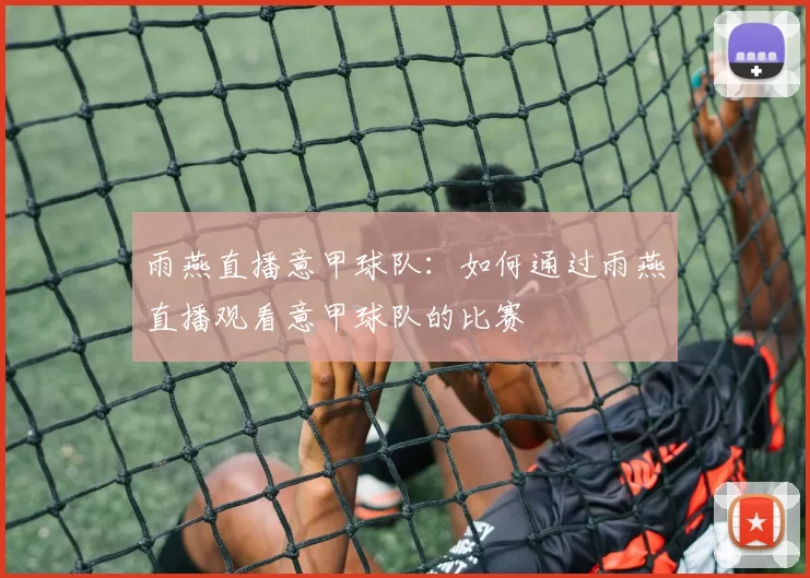 雨燕直播意甲球队：如何通过雨燕直播观看意甲球队的比赛
