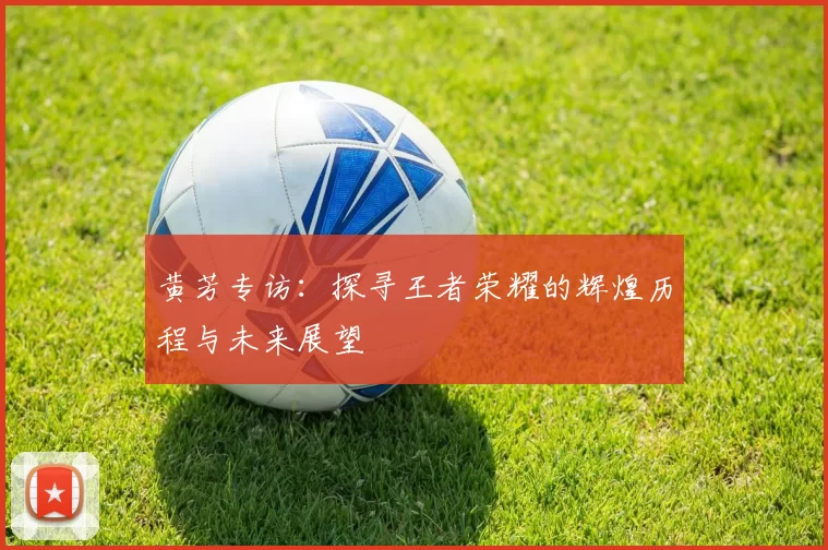 黄芳专访：探寻王者荣耀的辉煌历程与未来展望