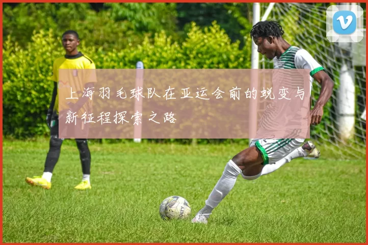 上海羽毛球队在亚运会前的蜕变与新征程探索之路