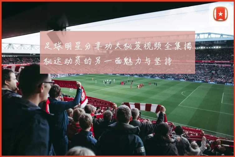 足球明星分享功夫秘笈视频全集揭秘运动员的另一面魅力与坚持