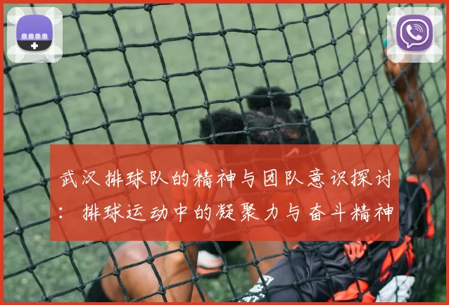 武汉排球队的精神与团队意识探讨：排球运动中的凝聚力与奋斗精神