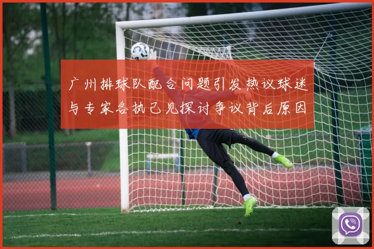 广州排球队配合问题引发热议球迷与专家各执己见探讨争议背后原因