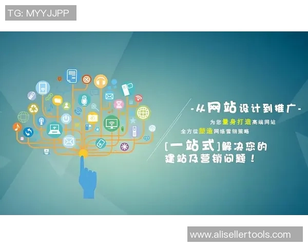 全面解析网站建设流程与关键技巧助力企业打造高效精准网络平台