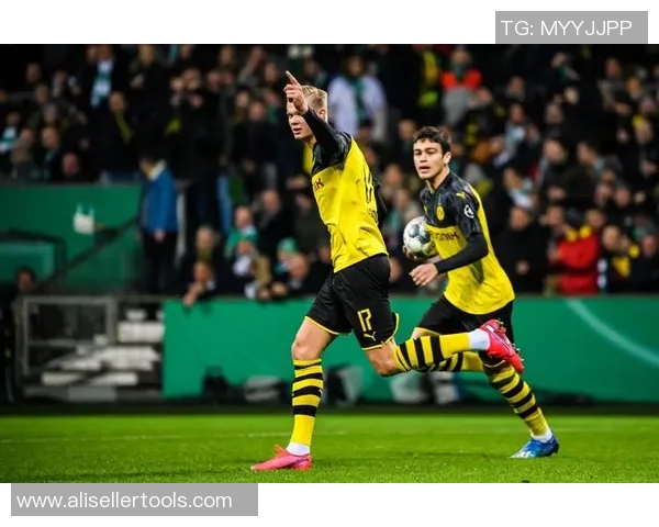 登博思与前进之鹰对决前瞻分析及比赛结果预测