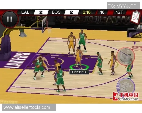 篮球架下的竞技与梦想：NBA篮球架的历史演变与技术革新