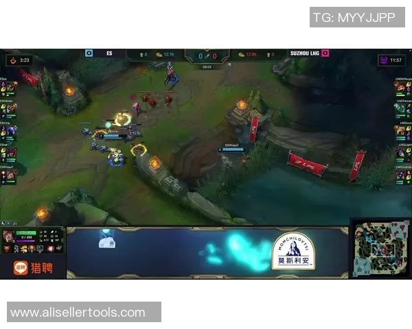 王者荣耀战术解析LNG战队控制体系的深度剖析与应用探讨 王者荣耀战术解析LNG战队控制体系的深度剖析与应用探讨